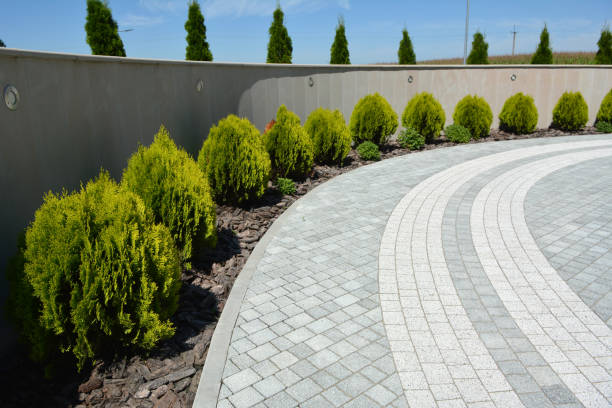 Best Concrete Paver Driveway  in Forest Acres, SC